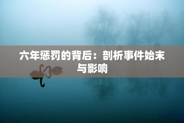 六年惩罚的背后：剖析事件始末与影响