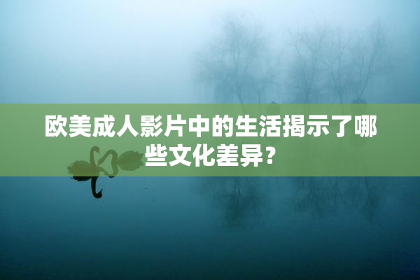欧美成人影片中的生活揭示了哪些文化差异？