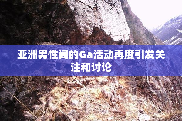 亚洲男性间的Ga活动再度引发关注和讨论