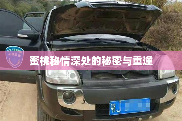 蜜桃秘情深处的秘密与重逢