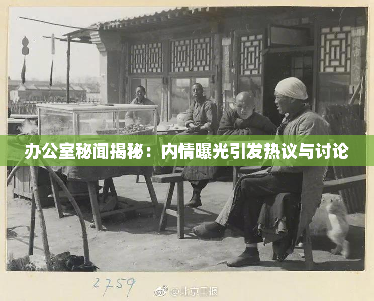 办公室秘闻揭秘：内情曝光引发热议与讨论