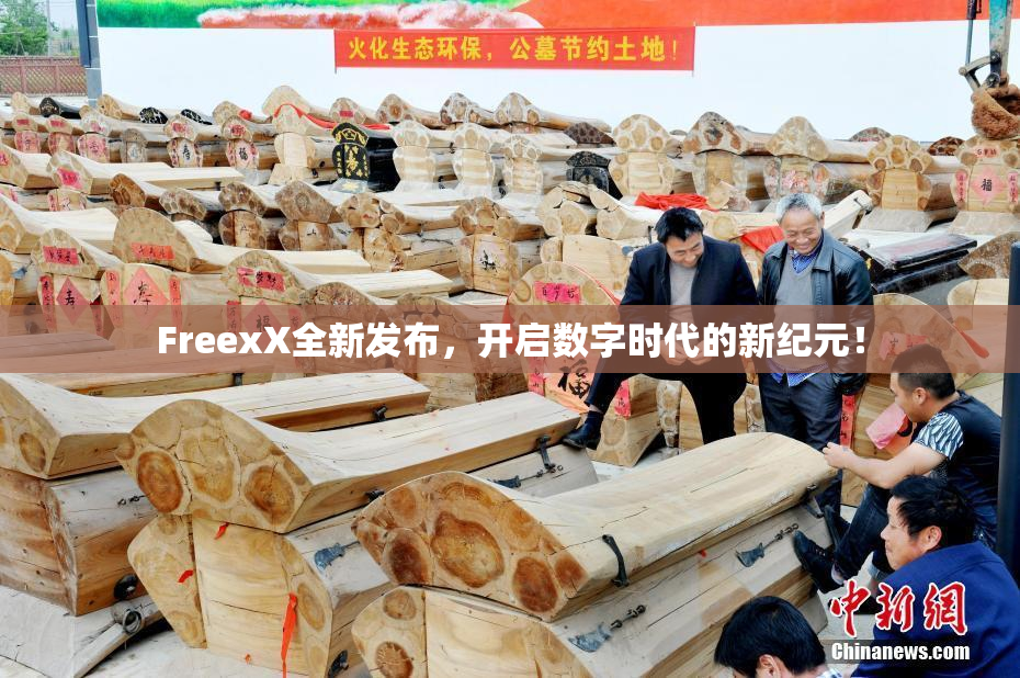 FreexX全新发布，开启数字时代的新纪元！