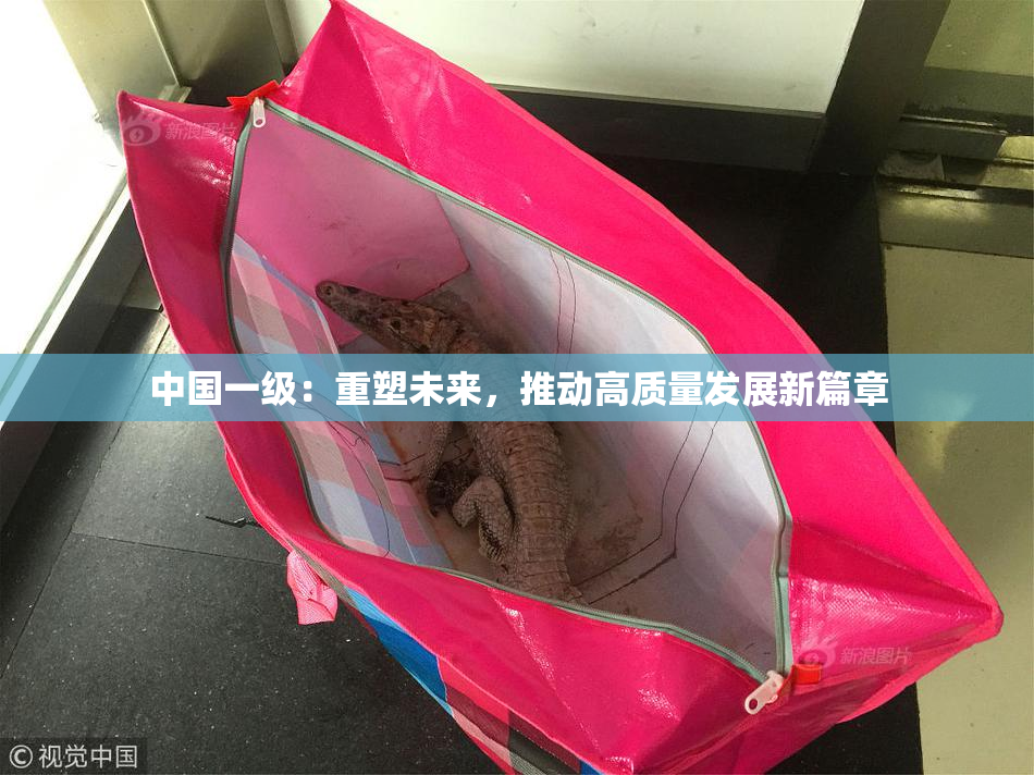 中国一级：重塑未来，推动高质量发展新篇章