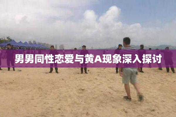 男男同性恋爱与黄A现象深入探讨