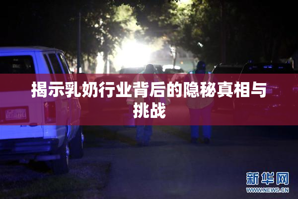 揭示乳奶行业背后的隐秘真相与挑战