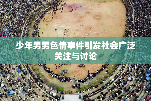 少年男男色情事件引发社会广泛关注与讨论