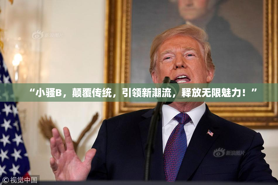 “小骚B，颠覆传统，引领新潮流，释放无限魅力！”