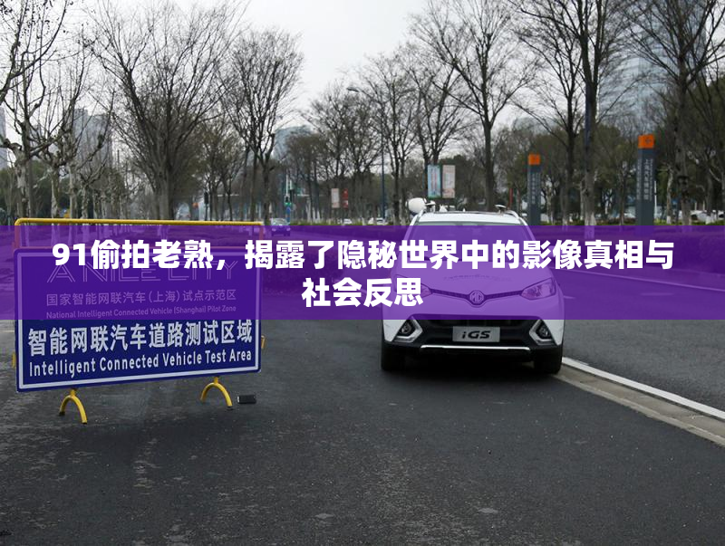 91偷拍老熟，揭露了隐秘世界中的影像真相与社会反思
