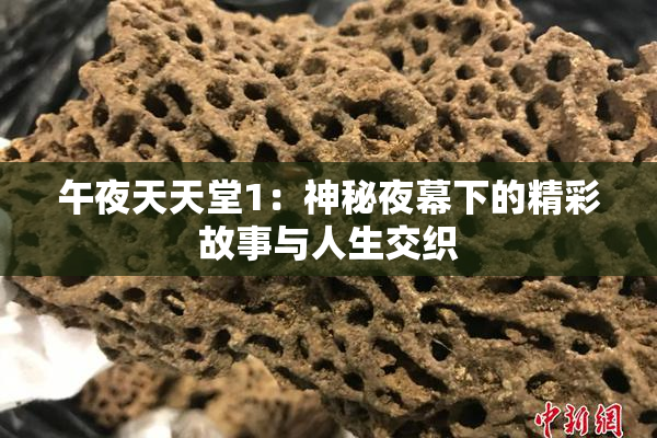 午夜天天堂1：神秘夜幕下的精彩故事与人生交织