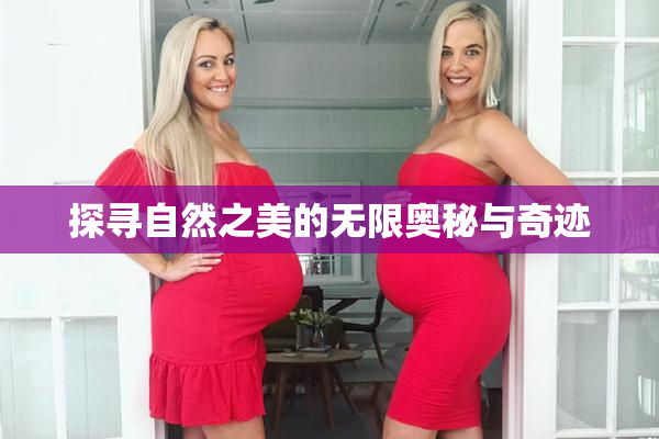 探寻自然之美的无限奥秘与奇迹