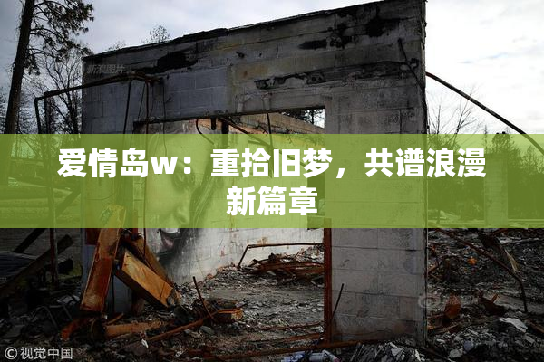 爱情岛w：重拾旧梦，共谱浪漫新篇章