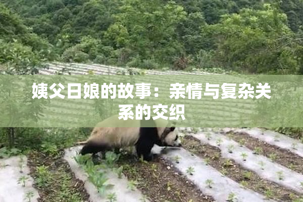 姨父日娘的故事：亲情与复杂关系的交织