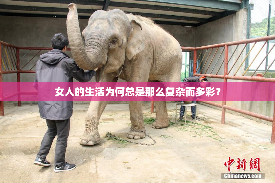 女人的生活为何总是那么复杂而多彩？
