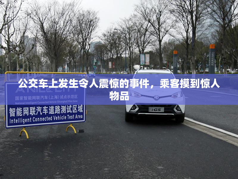 公交车上发生令人震惊的事件，乘客摸到惊人物品