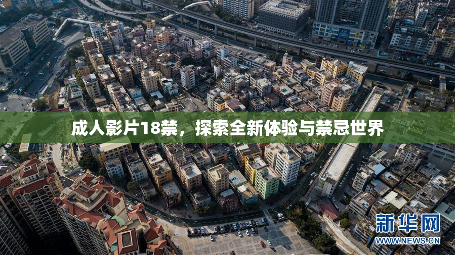 成人影片18禁，探索全新体验与禁忌世界