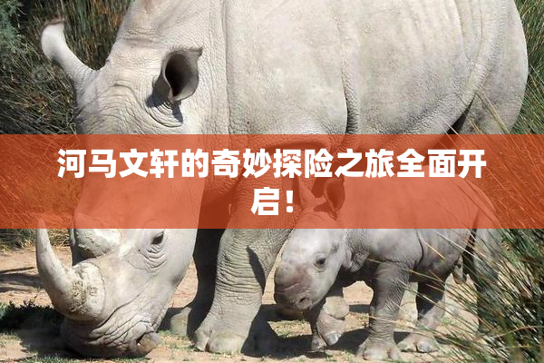 河马文轩的奇妙探险之旅全面开启！