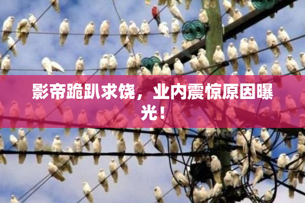 影帝跪趴求饶，业内震惊原因曝光！