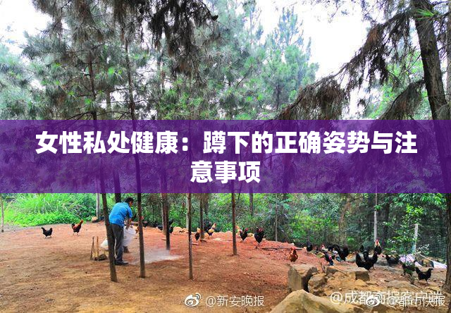女性私处健康：蹲下的正确姿势与注意事项