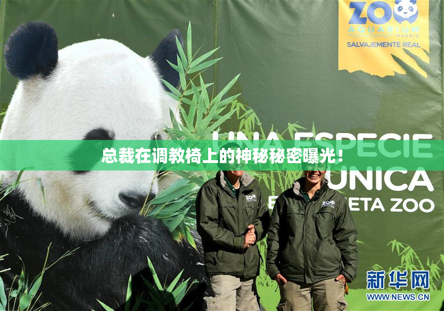 总裁在调教椅上的神秘秘密曝光！