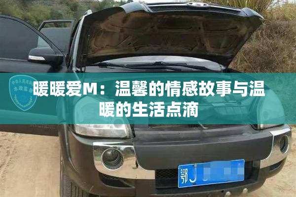 暖暖爱M：温馨的情感故事与温暖的生活点滴