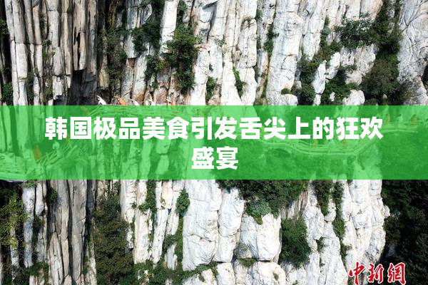 韩国极品美食引发舌尖上的狂欢盛宴