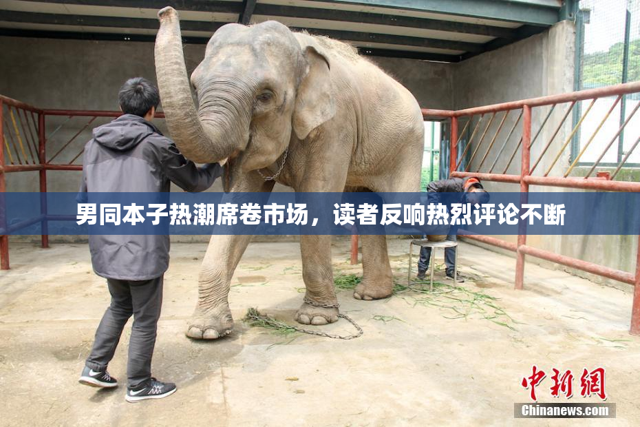 男同本子热潮席卷市场，读者反响热烈评论不断