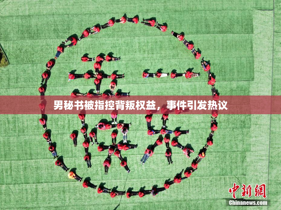男秘书被指控背叛权益，事件引发热议