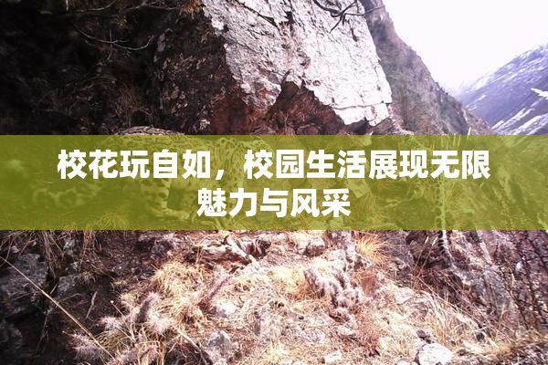 校花玩自如，校园生活展现无限魅力与风采