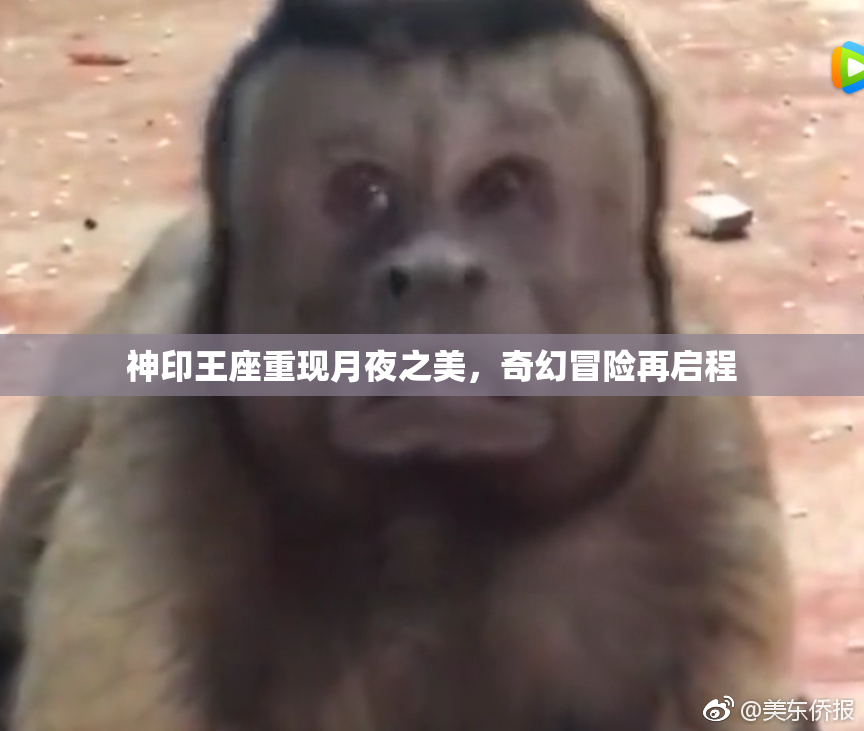 神印王座重现月夜之美，奇幻冒险再启程