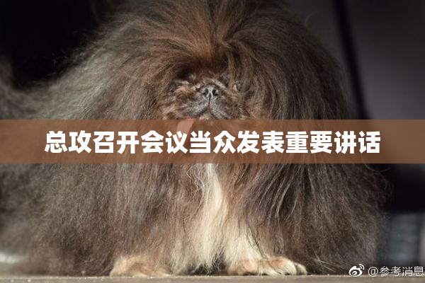总攻召开会议当众发表重要讲话