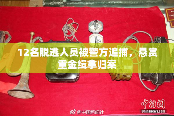 12名脱逃人员被警方追捕，悬赏重金缉拿归案