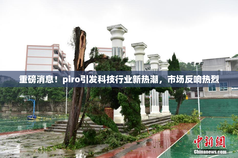 重磅消息！piro引发科技行业新热潮，市场反响热烈