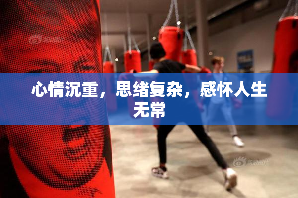 心情沉重，思绪复杂，感怀人生无常