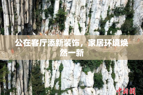 公在客厅添新装饰，家居环境焕然一新