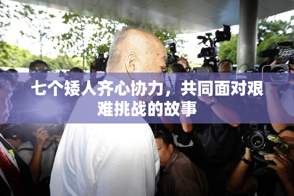 七个矮人齐心协力，共同面对艰难挑战的故事