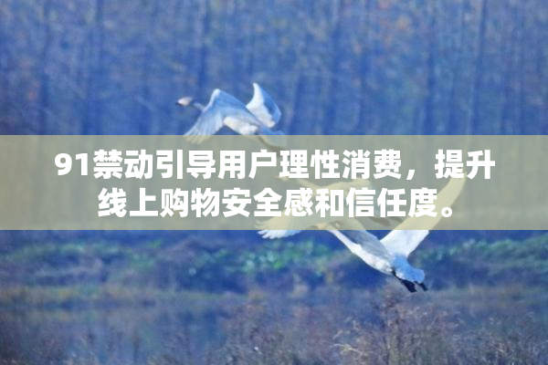 91禁动引导用户理性消费，提升线上购物安全感和信任度。