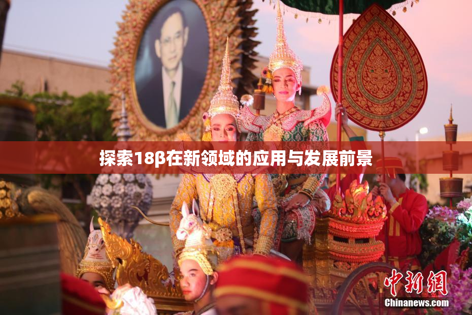 探索18β在新领域的应用与发展前景