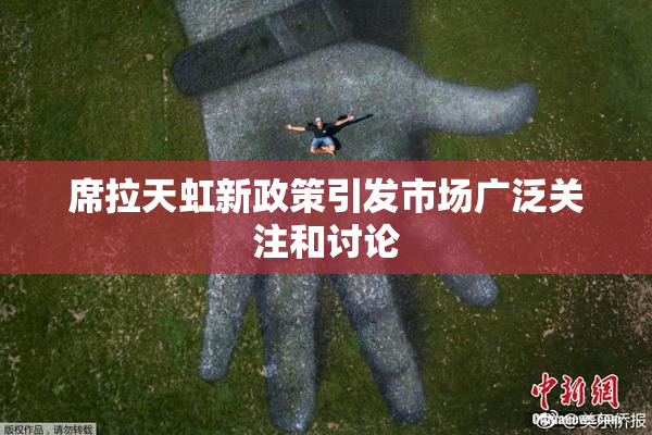 席拉天虹新政策引发市场广泛关注和讨论