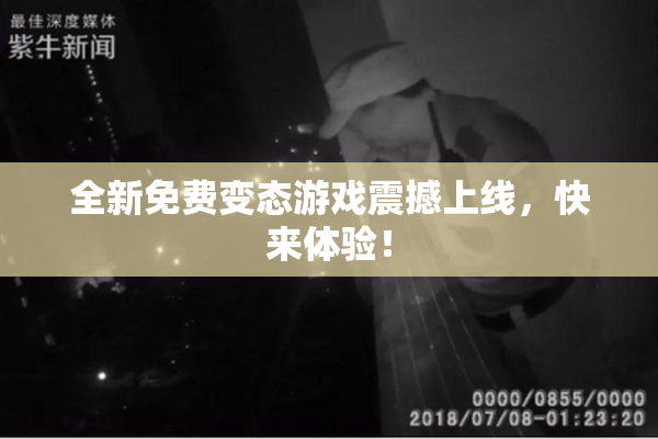 全新免费变态游戏震撼上线，快来体验！