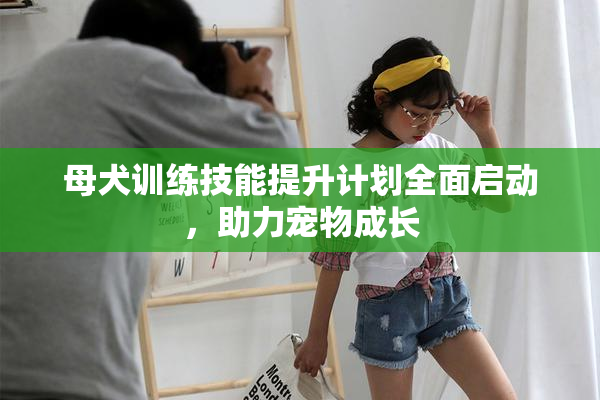母犬训练技能提升计划全面启动，助力宠物成长