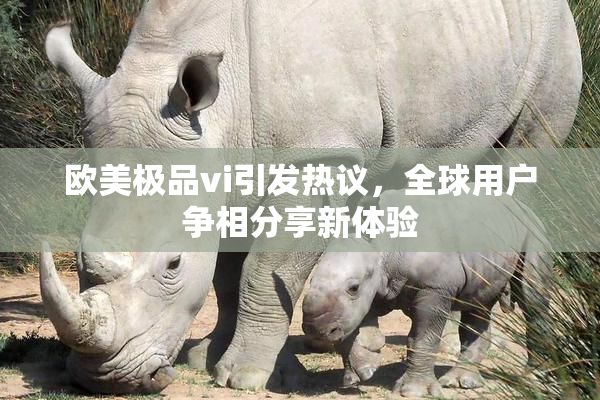 欧美极品vi引发热议，全球用户争相分享新体验