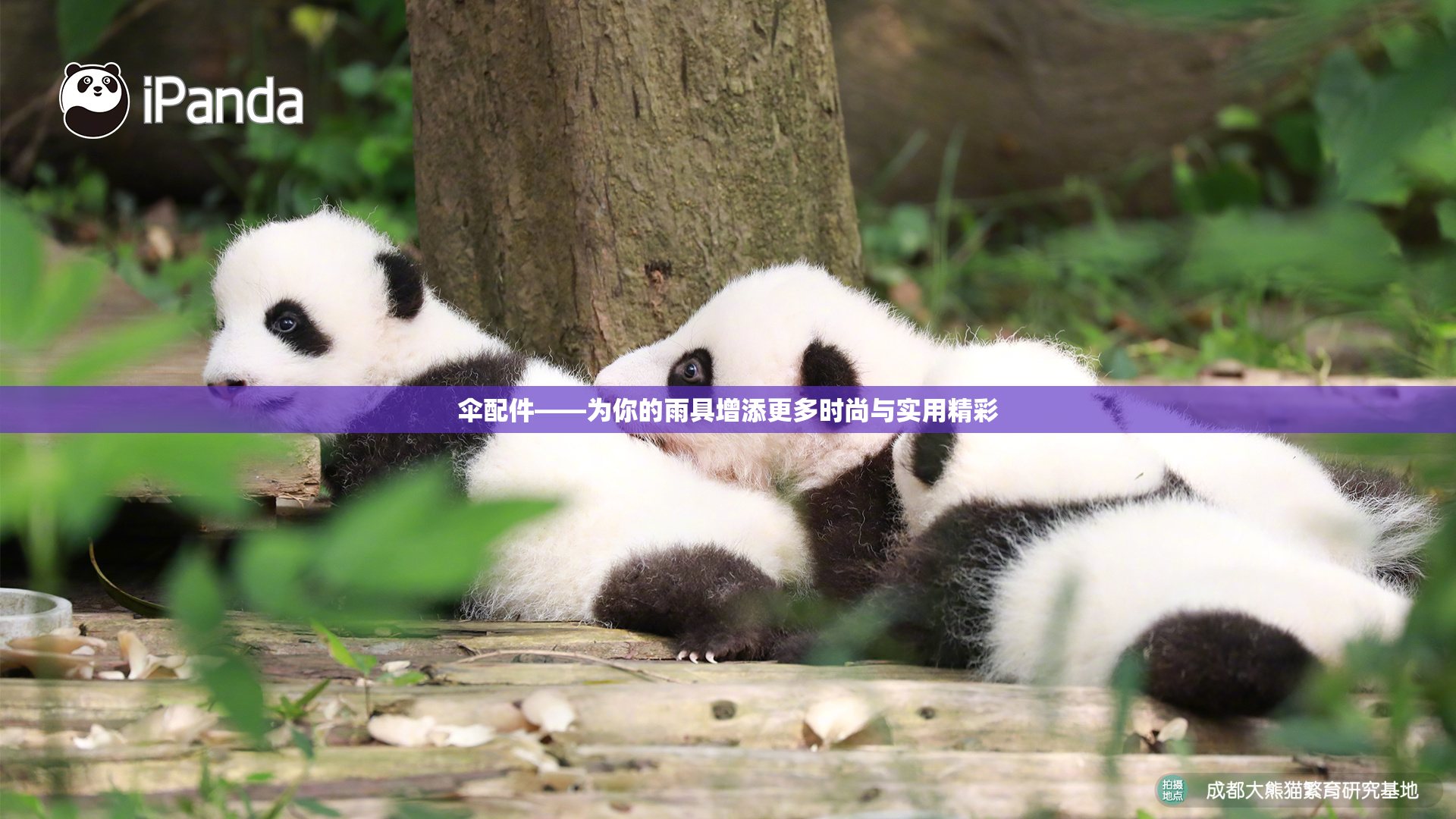 伞配件——为你的雨具增添更多时尚与实用精彩