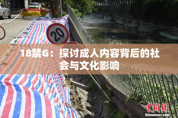 18禁G：探讨成人内容背后的社会与文化影响