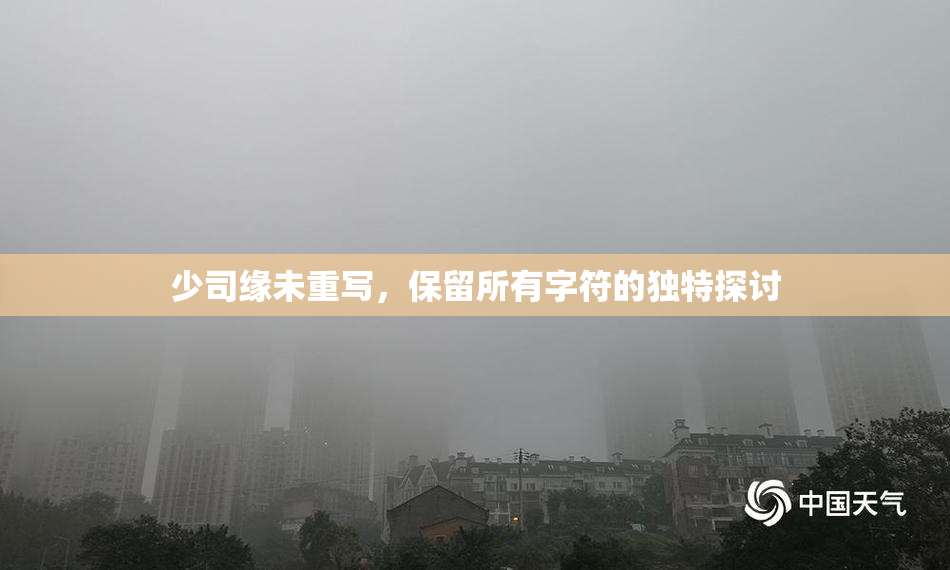 少司缘未重写，保留所有字符的独特探讨