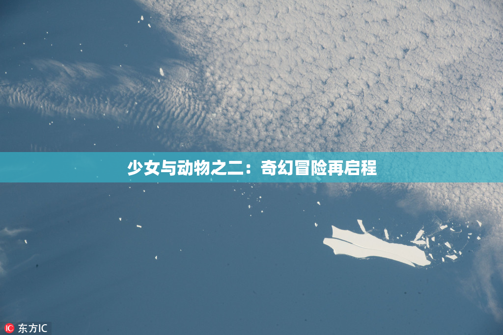 少女与动物之二：奇幻冒险再启程