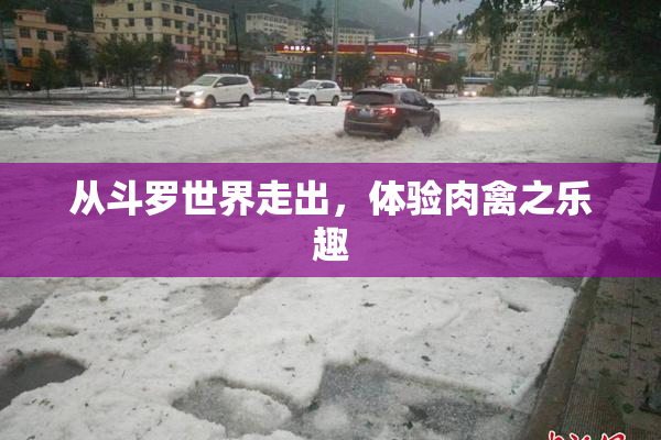 从斗罗世界走出，体验肉禽之乐趣
