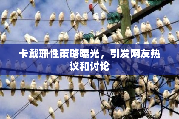 卡戴珊性策略曝光，引发网友热议和讨论