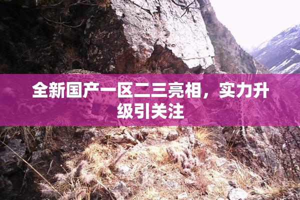 全新国产一区二三亮相，实力升级引关注
