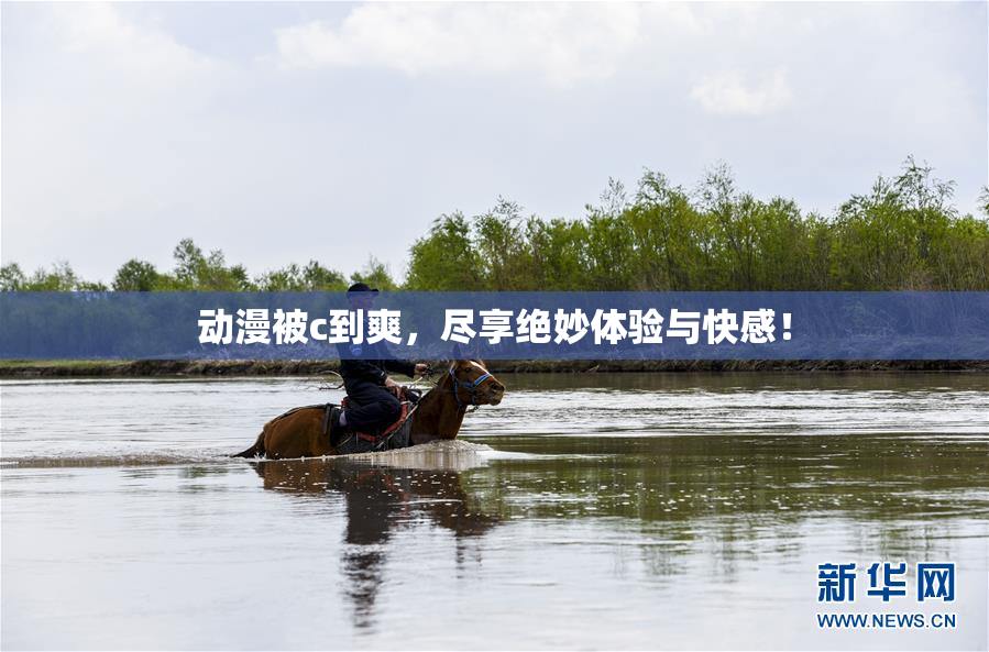 动漫被c到爽，尽享绝妙体验与快感！