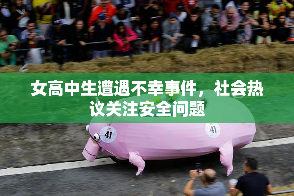 女高中生遭遇不幸事件，社会热议关注安全问题